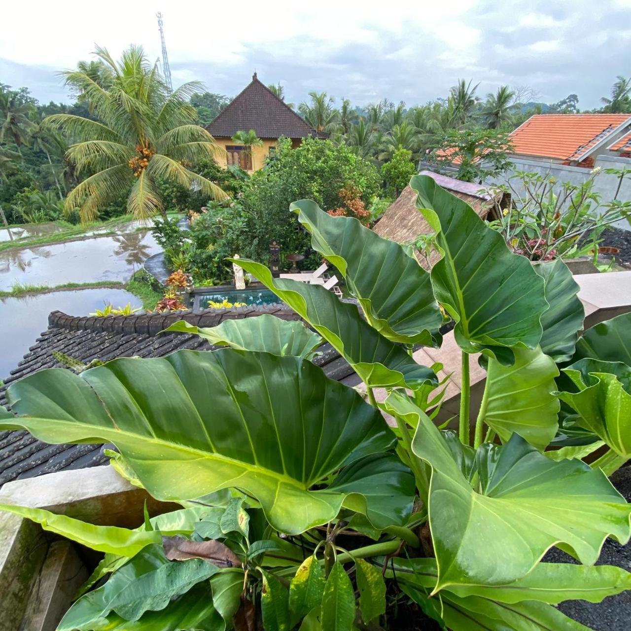 Dukuh Village Villas & Art Tegallalang  Quarto foto