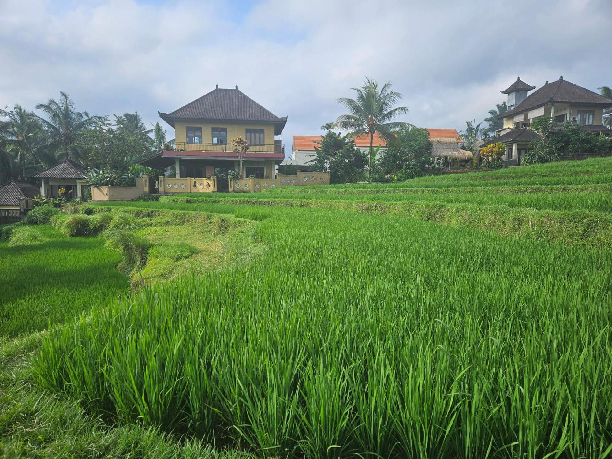 Dukuh Village Villas & Art Tegallalang  Exterior foto